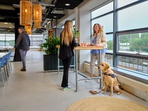 Vrouw met blindengeleidenhond